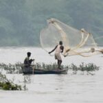 Delhi pollution body blames Haryana for dead fish in Yamuna | Latest News Delhi