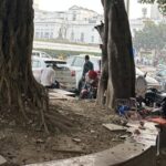 Delhiwale: Trees of Connaught Place | Latest News Delhi