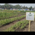 First ‘residue-free sustainable farming’ exhibition held in Pune